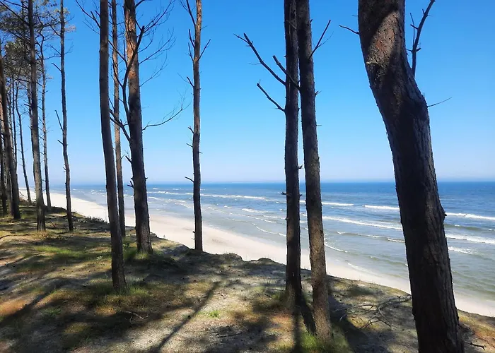 Resort Kite Marina Sarbsk